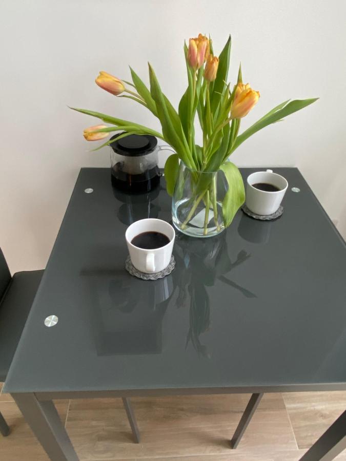 Lovely And Modern Studio Apartment. 博勒姆伍德 外观 照片