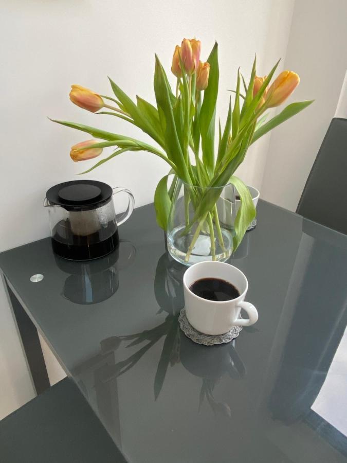 Lovely And Modern Studio Apartment. 博勒姆伍德 外观 照片